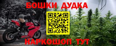 молекула духа Камышлов