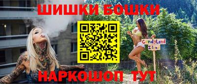 прущие грибы Кандалакша