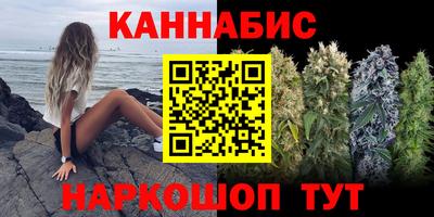 молекула духа Камышлов