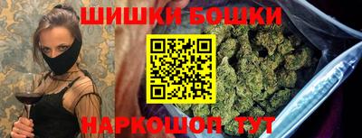 молекула духа Камышлов