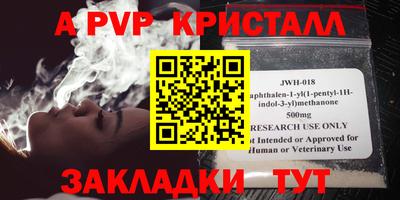 прущие грибы Кандалакша