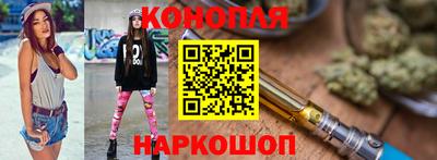 прущие грибы Кандалакша