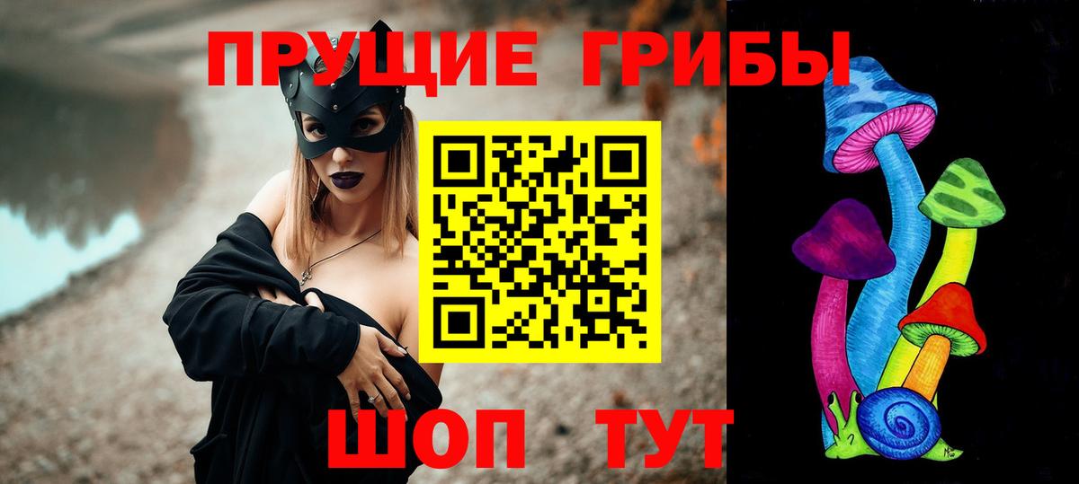 Кувандык  Псилоцибиновые грибы Cubensis  Вход с VPN 