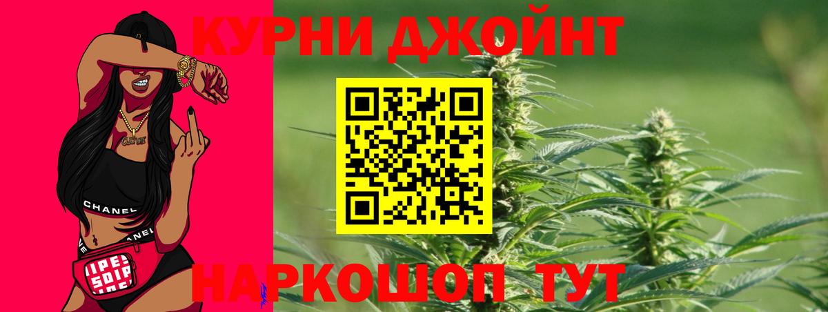 Канабис сатива Кувандык